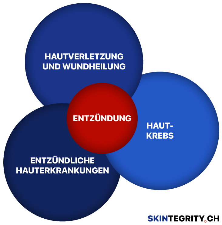 The three central branches of SKINTEGRITY.CH: Skin injury and repair, skin cancer, and inflammatory skin disease.