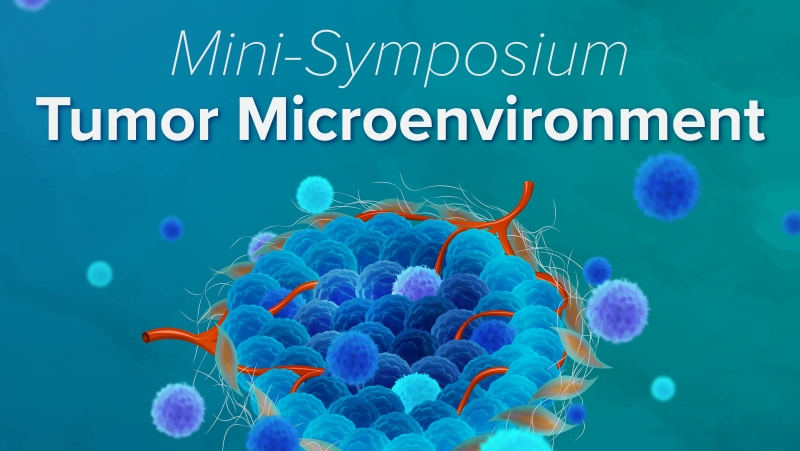 Mini-symposium Tumor Microenvironment