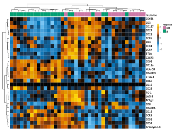 Hierarchical clustering of single-cell CyTOF data from baseline CD45<sup>+</sup> peripheral blood monocyte cells (PBMCS) between patients who responded <em>(R)</em> or failed to respond <em>(NR)</em> to check-point blockade immunotherapy (Krieg et al., <em>Nat Med</em>, 2018).